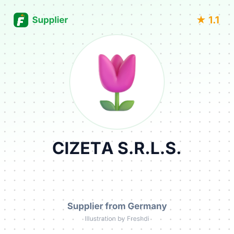CIZETA S.R.L.S. – summary card, no photo uploaded yet