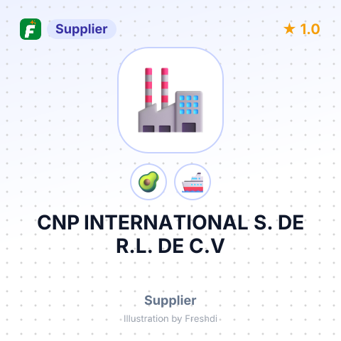 CNP INTERNATIONAL S. DE R.L. DE C.V – summary card, no photo uploaded yet