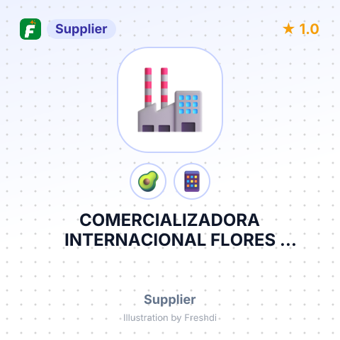 COMERCIALIZADORA INTERNACIONAL FLORES MACONDO LIMITADA – summary card, no photo uploaded yet