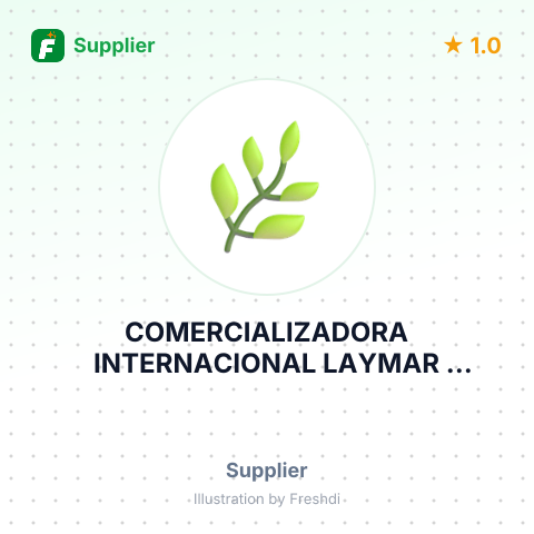 COMERCIALIZADORA INTERNACIONAL LAYMAR LIMITADA – summary card, no photo uploaded yet