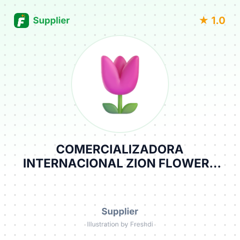 COMERCIALIZADORA INTERNACIONAL ZION FLOWERS SOCIEDAD POR ACC – summary card, no photo uploaded yet