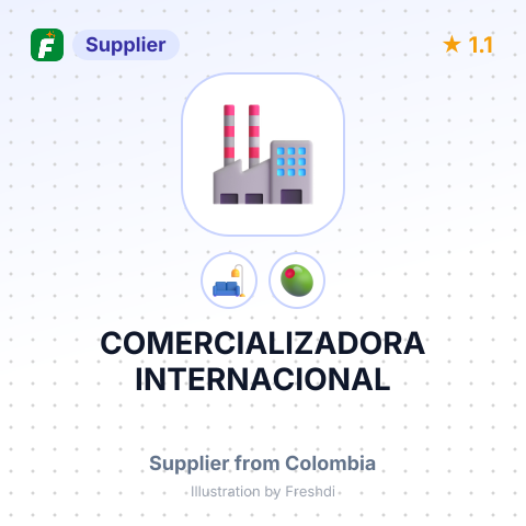 COMERCIALIZADORA INTERNACIONAL – summary card, no photo uploaded yet