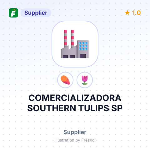 COMERCIALIZADORA SOUTHERN TULIPS SP – summary card, no photo uploaded yet