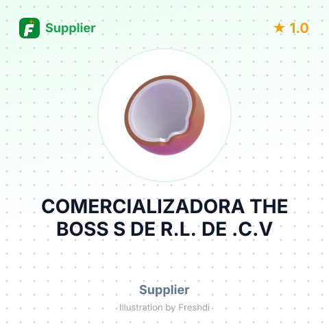 COMERCIALIZADORA THE BOSS S DE R.L. DE .C.V – summary card, no photo uploaded yet