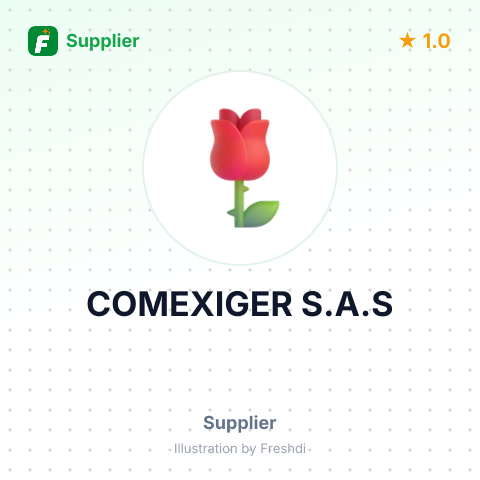 COMEXIGER S.A.S – summary card, no photo uploaded yet