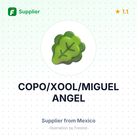COPO/XOOL/MIGUEL ANGEL – summary card, no photo uploaded yet