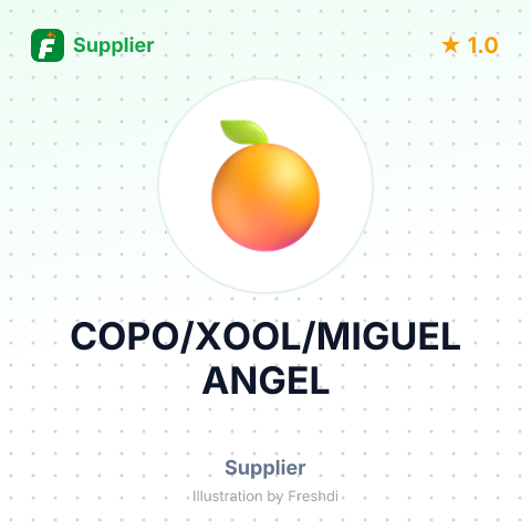 COPO/XOOL/MIGUEL ANGEL – summary card, no photo uploaded yet