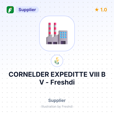 CORNELDER EXPEDITTE VIII B V – summary card, no photo uploaded yet