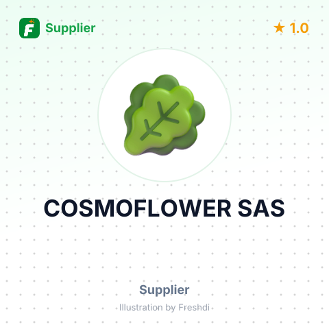 COSMOFLOWER SAS – summary card, no photo uploaded yet