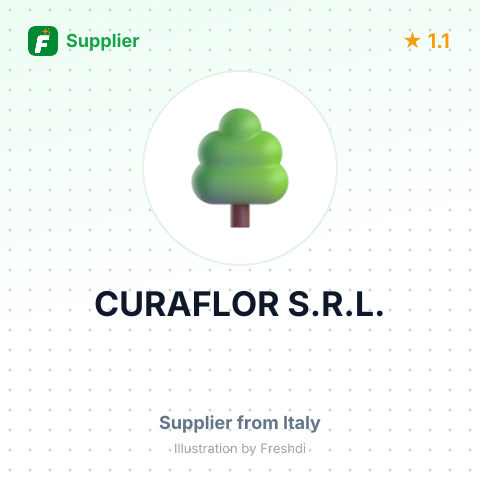 CURAFLOR S.R.L. – summary card, no photo uploaded yet