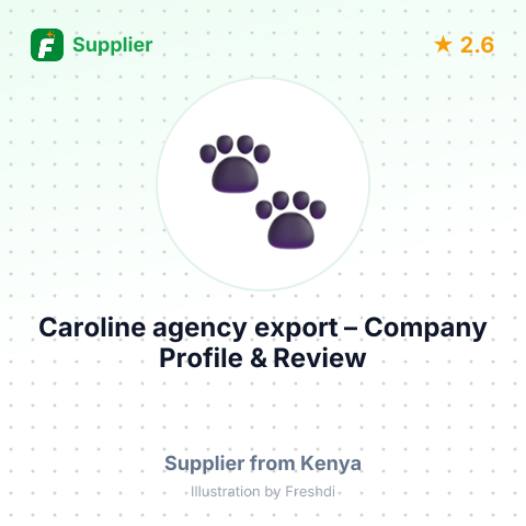 Caroline agency  export – summary card, no photo uploaded yet