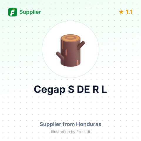 Cegap S DE R L  – summary card, no photo uploaded yet