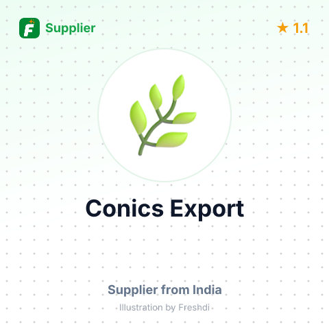 Conics Export  – summary card, no photo uploaded yet
