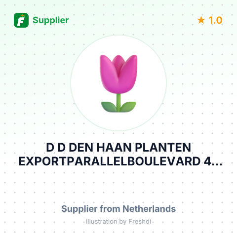 D D DEN HAAN PLANTEN EXPORTPARALLELBOULEVARD 43 2202 HK NOORDWIJK NETHERLANDS – summary card, no photo uploaded yet