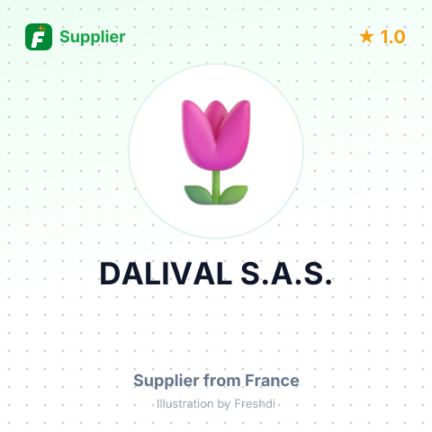 DALIVAL S.A.S. – summary card, no photo uploaded yet