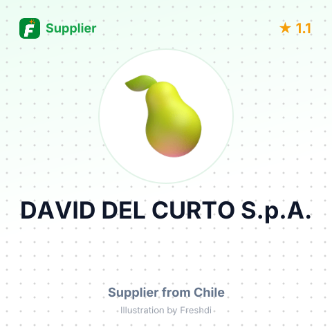 DAVID DEL CURTO S.p.A. – summary card, no photo uploaded yet