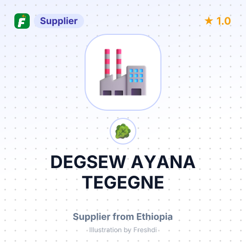DEGSEW AYANA TEGEGNE – summary card, no photo uploaded yet