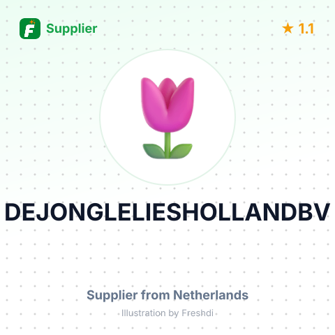 DEJONGLELIESHOLLANDBV – summary card, no photo uploaded yet