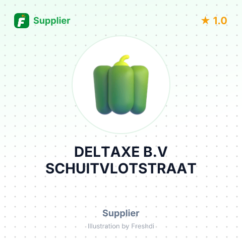 DELTAXE B.V SCHUITVLOTSTRAAT – summary card, no photo uploaded yet