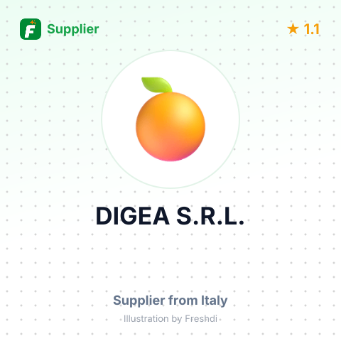 DIGEA S.R.L. – summary card, no photo uploaded yet