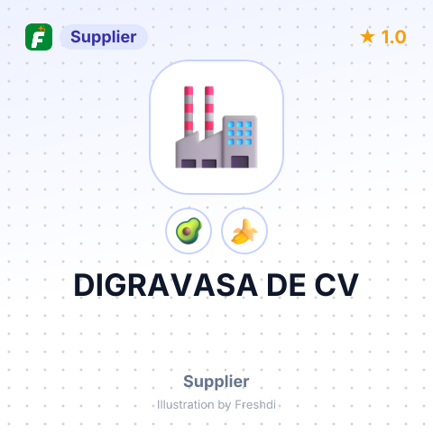 DIGRAVASA DE CV – summary card, no photo uploaded yet