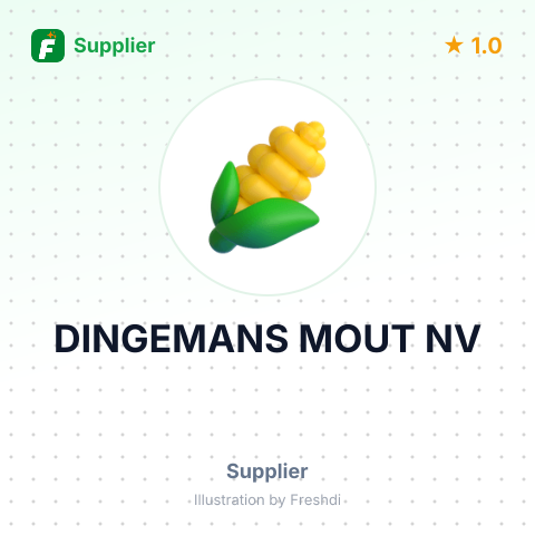 DINGEMANS MOUT NV – summary card, no photo uploaded yet
