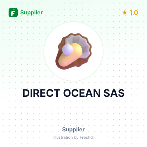 DIRECT OCEAN SAS – summary card, no photo uploaded yet