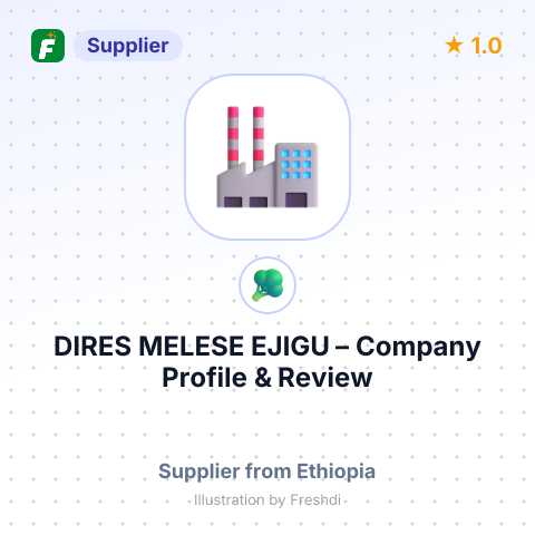 DIRES MELESE EJIGU – summary card, no photo uploaded yet