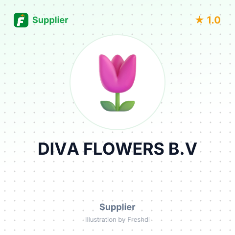 DIVA FLOWERS B.V – summary card, no photo uploaded yet