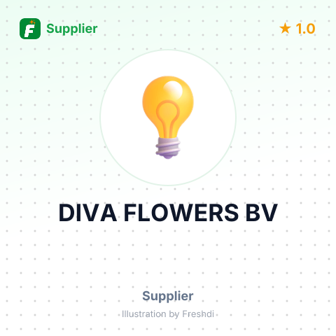 DIVA FLOWERS BV – summary card, no photo uploaded yet