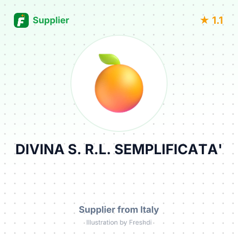 DIVINA S. R.L. SEMPLIFICATA' – summary card, no photo uploaded yet