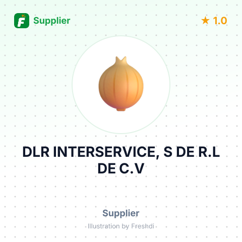 DLR INTERSERVICE, S DE R.L DE C.V – summary card, no photo uploaded yet