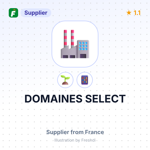DOMAINES SELECT – summary card, no photo uploaded yet
