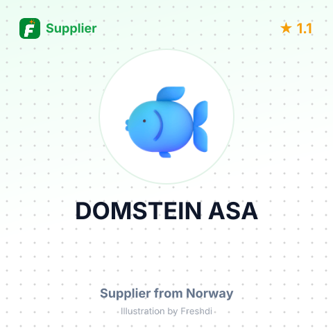 DOMSTEIN ASA – summary card, no photo uploaded yet