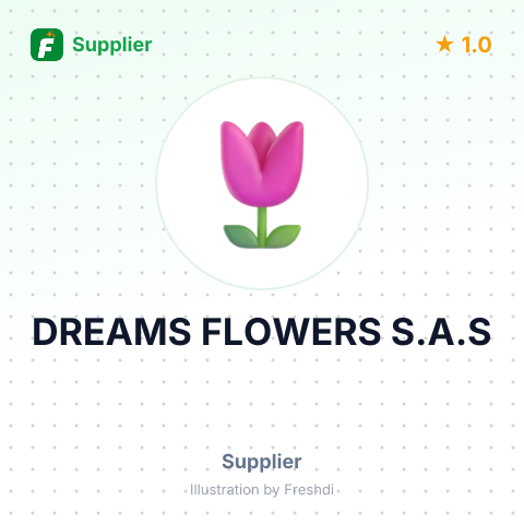 DREAMS FLOWERS S.A.S – summary card, no photo uploaded yet