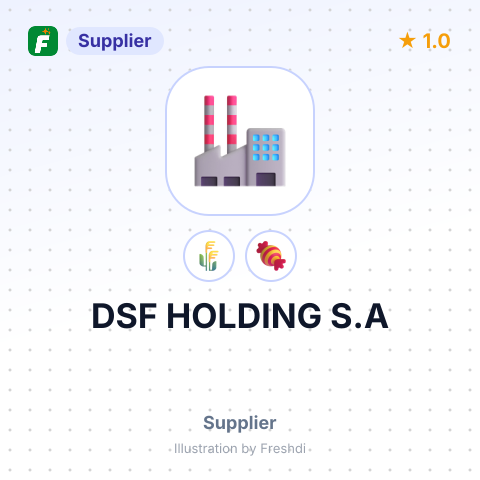 DSF HOLDING S.A – summary card, no photo uploaded yet