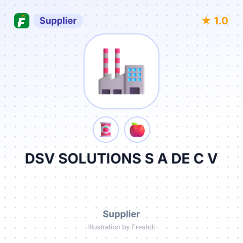DSV SOLUTIONS S A DE C V – summary card, no photo uploaded yet