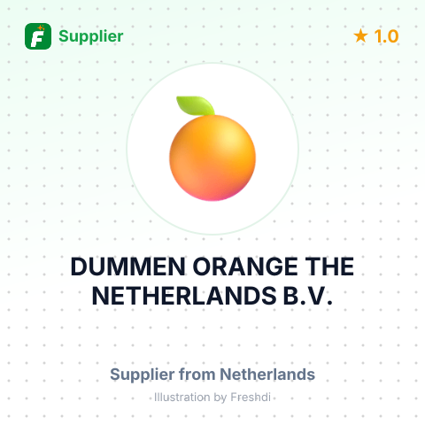 DUMMEN ORANGE THE NETHERLANDS B.V. – summary card, no photo uploaded yet
