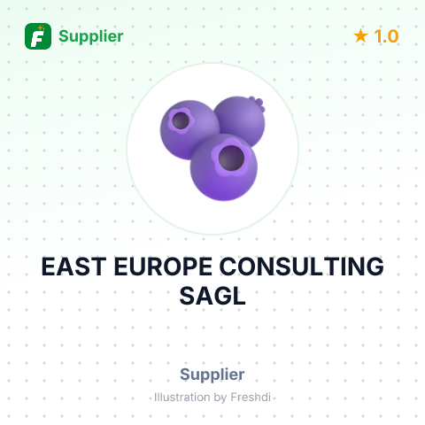 EAST EUROPE CONSULTING SAGL – summary card, no photo uploaded yet