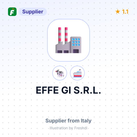 EFFE GI S.R.L. – summary card, no photo uploaded yet