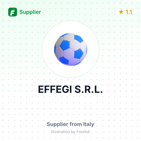 EFFEGI S.R.L. – summary card, no photo uploaded yet