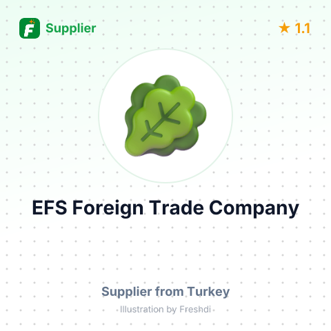EFS Foreign Trade Company – summary card, no photo uploaded yet