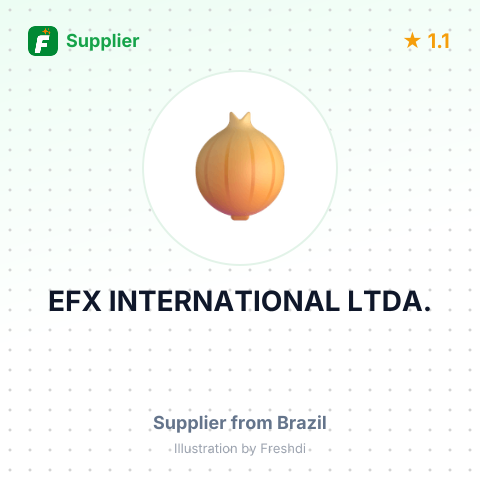 EFX INTERNATIONAL LTDA. – summary card, no photo uploaded yet