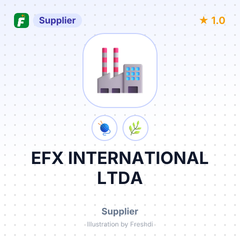 EFX INTERNATIONAL LTDA – summary card, no photo uploaded yet