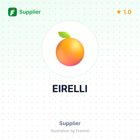EIRELLI – summary card, no photo uploaded yet