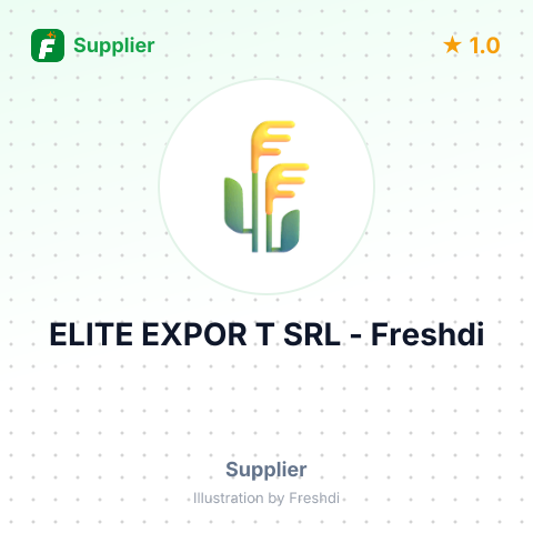 ELITE EXPOR T SRL – summary card, no photo uploaded yet