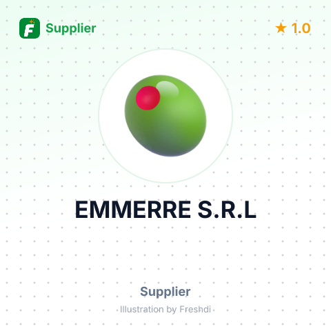 EMMERRE S.R.L – summary card, no photo uploaded yet