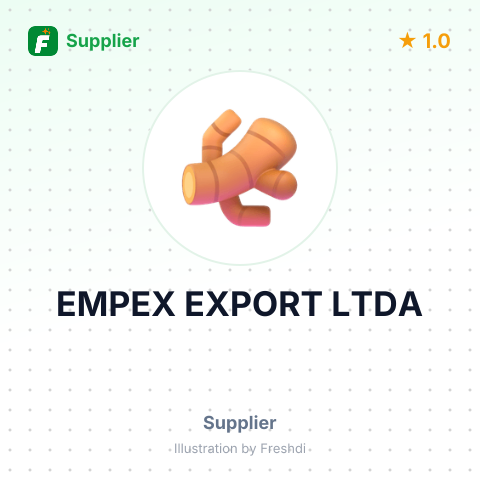 EMPEX EXPORT LTDA – summary card, no photo uploaded yet