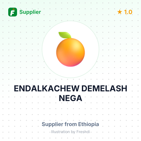 ENDALKACHEW DEMELASH NEGA – summary card, no photo uploaded yet