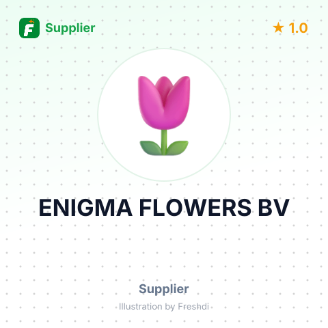 ENIGMA FLOWERS BV – summary card, no photo uploaded yet